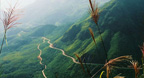 Thiên Sầu Kí Cựu Tình (Đàn Nhị)