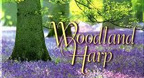 Woodland Harp - Dan Gibson’s Solitudes