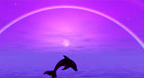 Harp Of The Healing Light  - Erik Berglund