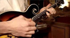 Mandolin - Hòa tấu Mandolin