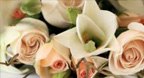 Piano Wedding Music - A Perfect Day