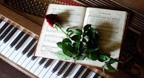 Hòa Tấu Piano - Nỗi Niềm
