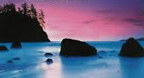 The Romantic Flute (CD2)  - Berdien Stenberg