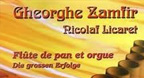 Flute De Pan Et Orgue  - Gheorghe Zamfir