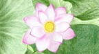 Music For Zen Meditation (CD2) - Riley Lee