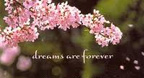Dreams Are Forever - Riley Lee