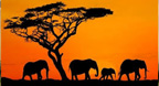 Africa (Kuckuck) - Paul Horn