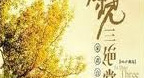 Three Fever Chinese Music (Vol 2)