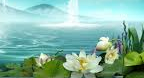 Spa Dreams - Dean & Dudley Evenson