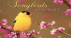 Songbirds At Sunset - Dan Gibson’s Solitudes