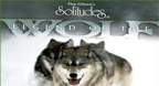 Legend Of The Wolf - Dan Gibson’s Solitudes