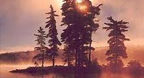 Algonquin Suite - Dan Gibson’s Solitudes
