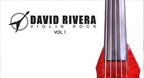 Violin Rock Vol 1 (Hòa tấu Violin - David Rivera)