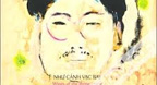 Như Cánh Vạc Bay - Trần Mạnh Tuấn