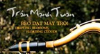 Bèo Dạt Mây Trôi (Saxophone- Trần Mạnh Tuấn)