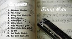Những Tình Khúc Khó Quên - Tòng Sơn (Độc tấu Harmonica)
