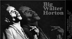 Southern Comfort - Big Walter Horton
