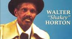 Live In Chicago - Big Walter Horton