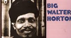 King Of The Harmonica Players (1954-75) - Big Walter Horton