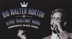 Harmonica Blues Kings - Big Walter Horton