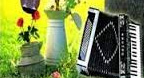 Cafe Music Love You So Much (Accordion)