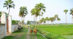 Nhạc hòa tấu quê hương - (Hòa tấu Bầu - Tranh - Sáo)
