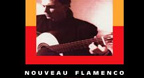 Nouveau Flamenco - Ottmar Liebert