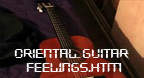 Oriental Guitar Feelings