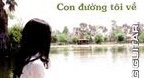 Con Đường Tôi Về