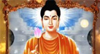 Buddha Spa Musis (5 Album Nhạc Phật Giáo)