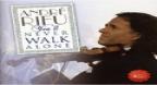 You Will Never Walk Alone - André Rieu