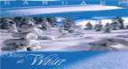 Snow In Winter (1999) - Bandari