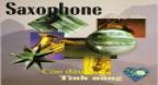Độc Tấu Saxophone - Còn Đâu Tình Nồng