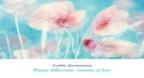 Piano Affection - Yuhki Kuramoto (2009)