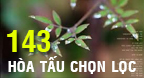 Playlist 143 Hòa Tấu Chọn Lọc (Tổng hợp)