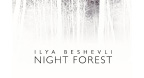 Night Forest