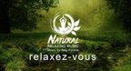 Nhạc Thiền - Sắc màu cuộc sống