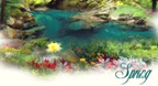 Spring (2000) - Bandari