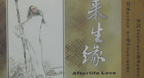 Afterlife Love