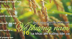 Về Phương Nam - Nhạc hòa tấu