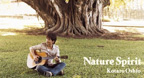 Nature Spirit (Kotaro Oshio) - Độc tấu Guitar