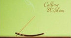 Peace Of Mind Music Vol.1 (Calling Wisdom)