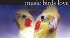 Music Birds Love: While You Are Gone (2008)