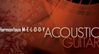 Harmonious Melody (Acoustic Guitar)
