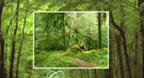 Green Trail - Bandari