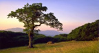Hilly Scenery (2002) - Bandari