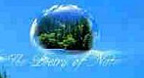 Rhine River (1999) - Bandari
