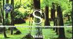 Vienna Forest (2001) - Bandari