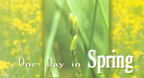 One Day in Spring (2005) - Bandari