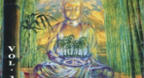 Buddha and Bonsai Vol.3 (2000)